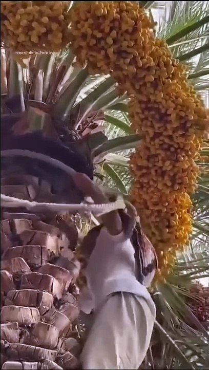 ÐÐ¸Ð´ÐµÐ»Ð¸ ÐºÐ¾Ð³Ð´Ð°-Ð½Ð¸Ð±ÑÐ´Ñ ÐºÐ°Ðº ÑÐ°ÑÑÑÑ ÑÐ°Ð¹ÑÐµ_ ð ummatour.ru ð#Ð£Ð¼Ð¼Ð°Ð¢ÑÑ #music #love #arabic #ÑÐ¾Ð¿ #ÐµÐ´Ð°