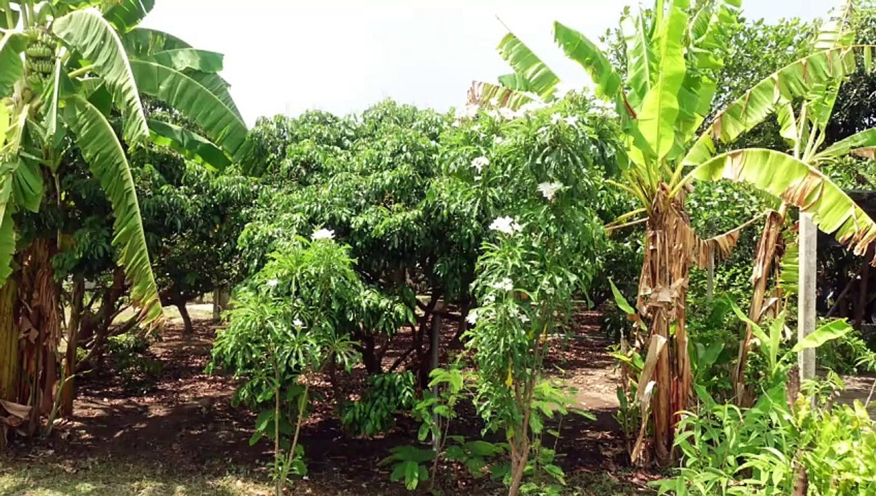 Bitte klicken Sie weiter, hier gibt es nichts zu sehen!