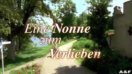 Utta Danella -20- Eine Nonne zum Verlieben