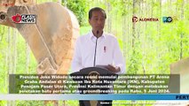 Presiden Jokowi Lakukan Groundbreaking PT Arena Graha Andalan di IKN