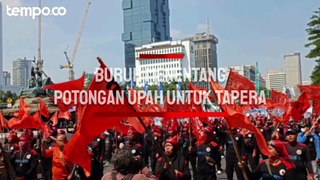 Buruh Menentang Potongan Upah untuk Tapera: Apa-apa Semakin Mahal, Kayak Digencet Pemerintah