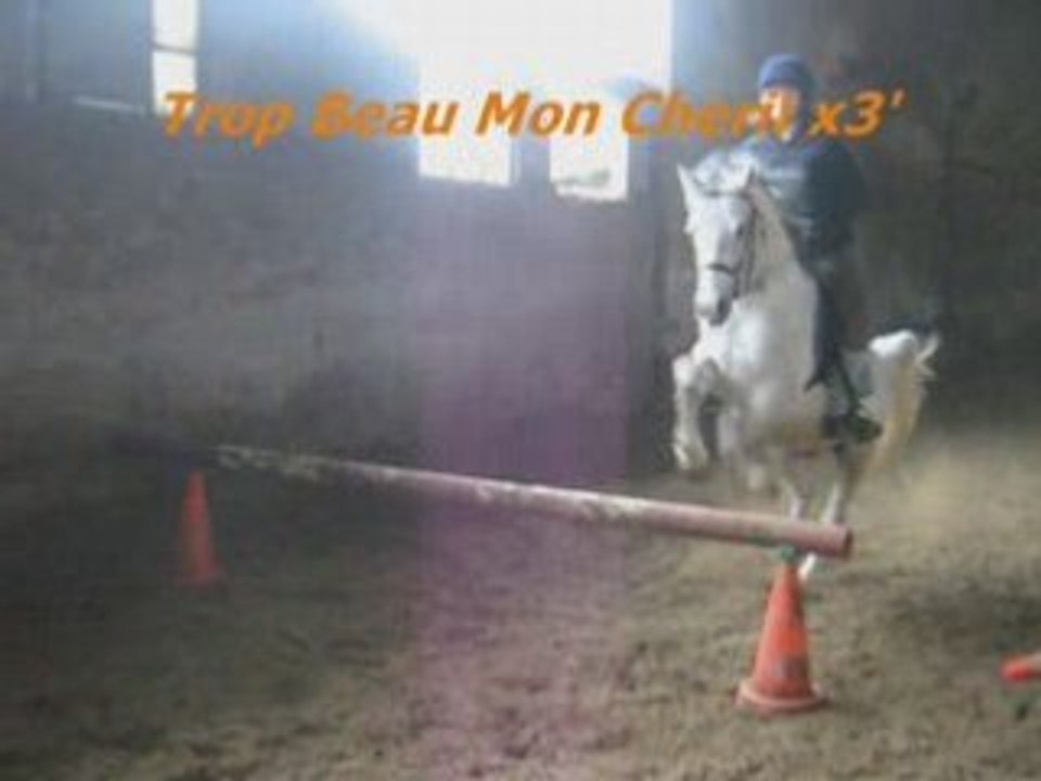 Ombré et Moii en saut