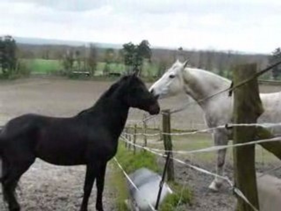 Ferme 12 avril 2008 008