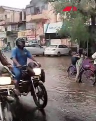 नाशिक मध्ये सायंकाळच्या सुमाला जोरदार पावसाच्या सरी