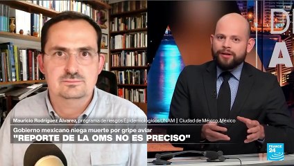 Mauricio Rodríguez: 'Paciente mexicano que tenía gripe aviar parece ser un caso aislado'