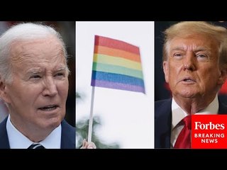 Pew Survey Reveals How Trump Supporters And Biden Supporters Feel About Gay Marriage In 2024