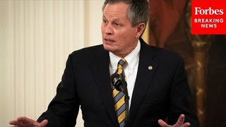 'Pushing The Envelope On Crazy': Steve Daines Blasts Dems After Trump Hush Money Trial
