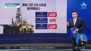 ‘액트지오 고문’ 아브레우 “영일만 유전 유망성 높아”