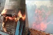 रामपुरा मुख्य बाजार में दुकान व बस्ती के बीच जंगल में लगी आग