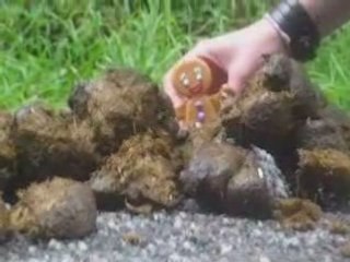 Les Aventures De Nain d'Epices