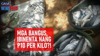 Mga bangus, ibinenta ng P10 per kilo?! | GMA Integrated Newsfeed