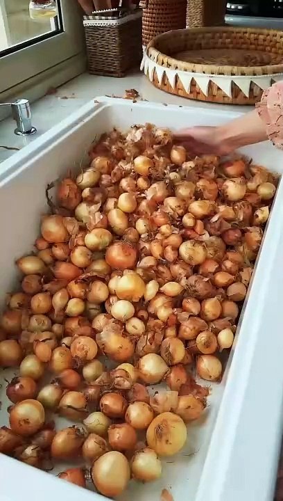 Everything tastes better with onions  everything smells better with dr scent  #abirzkitchen #onion