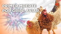 El primer caso de Gripe Aviar, confirmado por la OMS, negado por México I Todo Personal