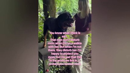 You Laugh You Lose Funniest Dogs and Cats 2024