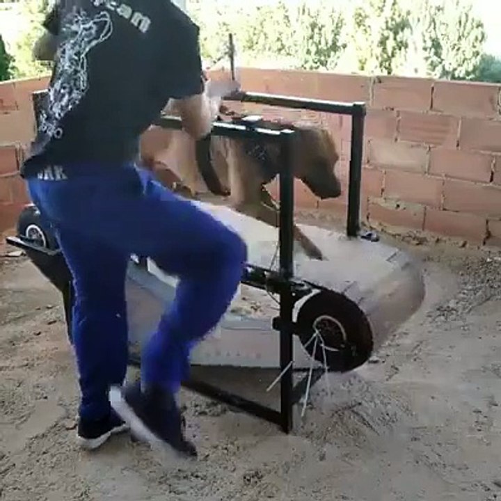 Amazing bijli KV