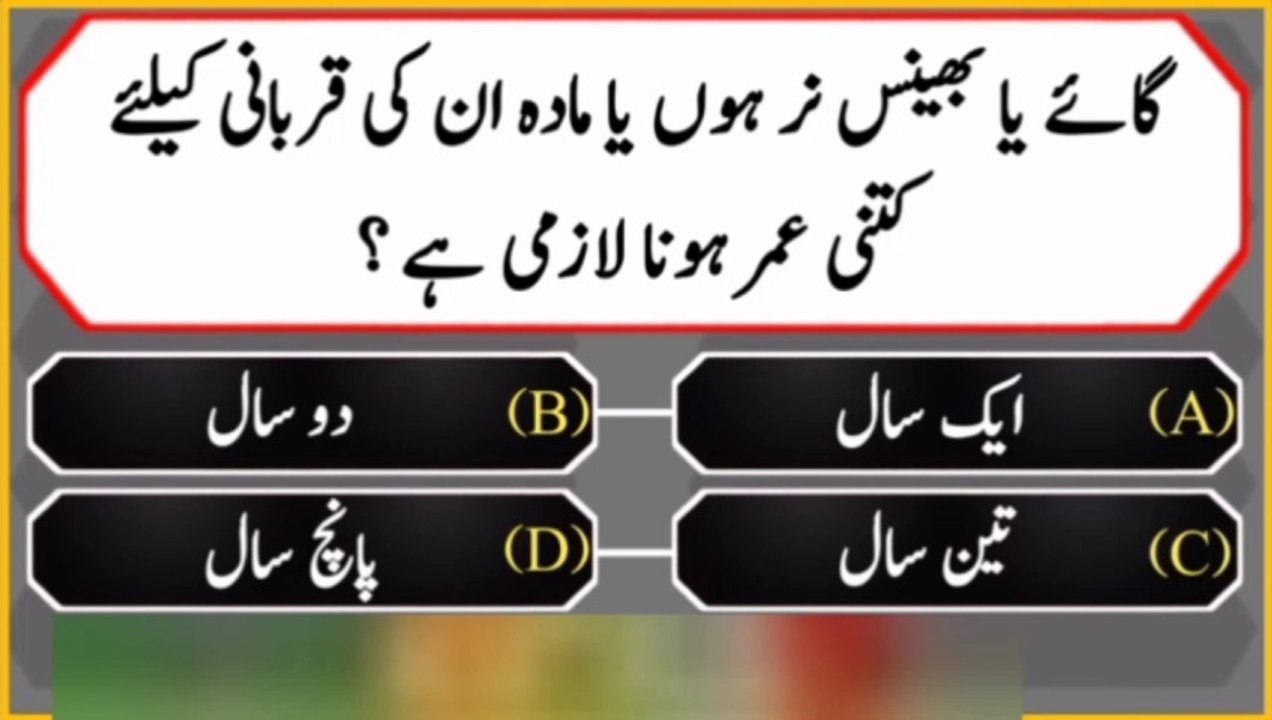 Answer questions general knowledge vedio Islamic question video