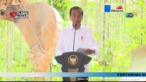 Pembangunan PT Arena Graha Andalan di IKN Dimulai, Presiden Jokowi Lakukan Groundbreaking