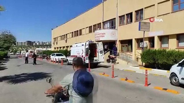 Bir ilimizde kuduz alarmı: Isırıp ölen köpek kuduz çıktı