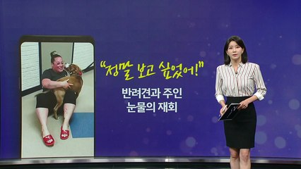 "너무 보고 싶었어!" 반려견 로키, 눈물의 재회 [앵커리포트] / YTN