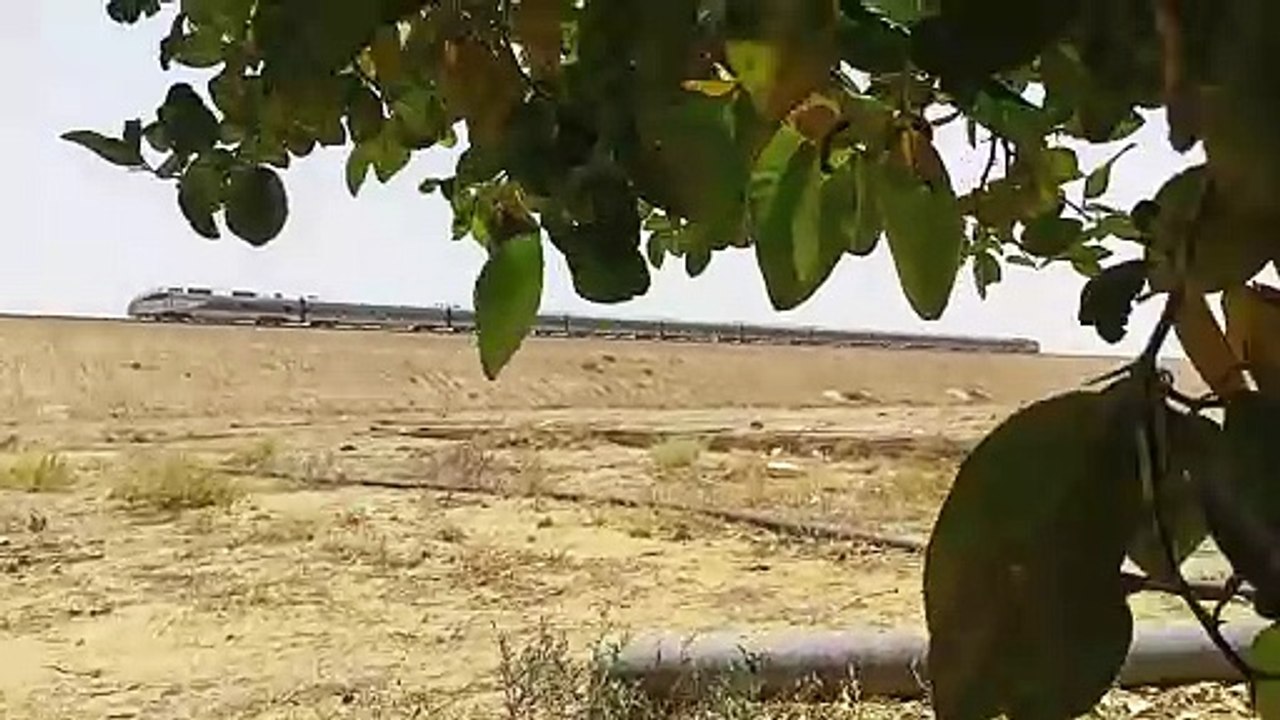 train going to saudi arabia 