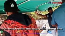 Warga Misool Raja Ampat Geger, Paus Sperma Seberat 182 Ton Mati Terdampar di Wilayahnya