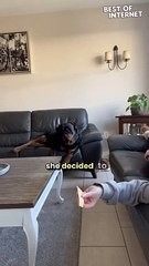 Dog vs Cheese | Impossible Mission Completed!