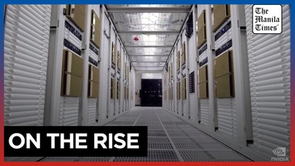 Nvidia's AI chips are 'new gold, new oil' – analyst