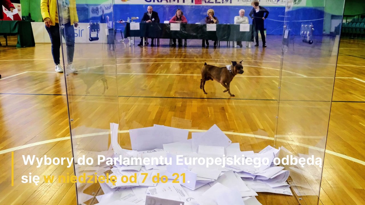 Cisza wyborcza przed wyborami do PE