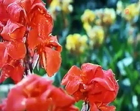 Aankhon Mein Tu /1988 Halaal Ki Kamaai / Asha Bhosle, Shabbir Kumar, Govinda, Farha