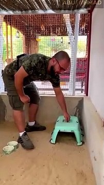 إنه يبدو لطيف، لا يمكن أن يكون متوحشًا...