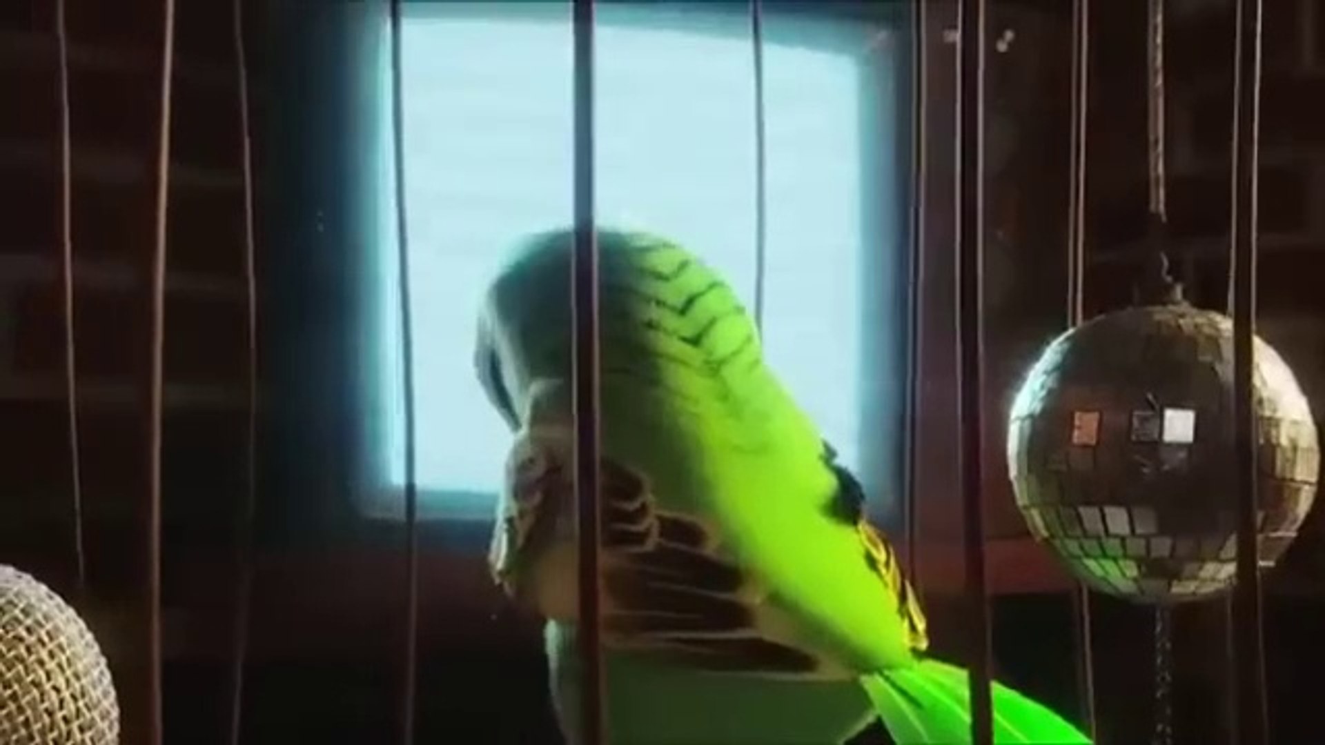 ⁣THE BIRDS New Animated Movie 2024 In Hindi Dubbed Cartoon Movie Full HD 2022 Urdu AngryBirds