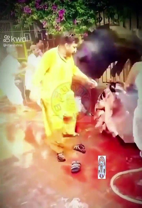 VID-20240606-WA0031