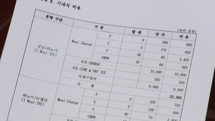 文 정부 출신 의원들 "김정숙 기내식은 105만 원" / YTN