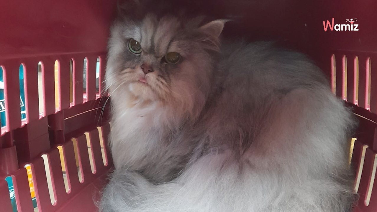 NRW: „Ich weiß nicht mehr weiter!“, Schule nach Brief unter Schock