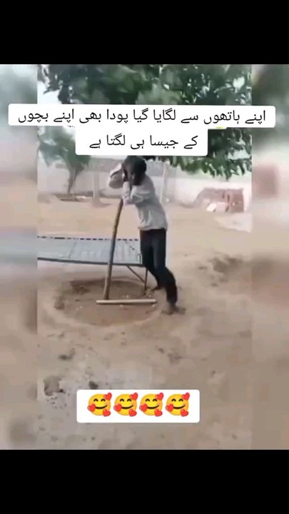 muhabbat