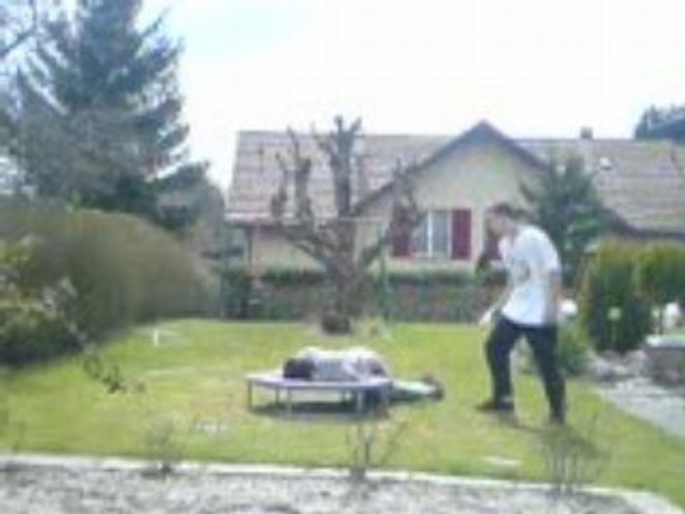 Backyard wrestling objet