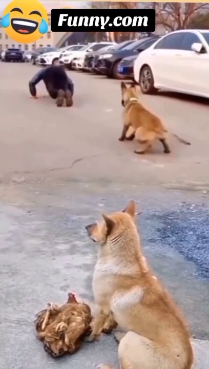Viral Video#Entertainment#Funny  # viral