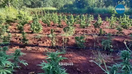 Lice, Hani ve Kulp’taki operasyon 2 gün sürdü