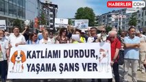 Ordu Demokrasi Platformu, sahipsiz sokak hayvanlarının uyutulmasını protesto etti