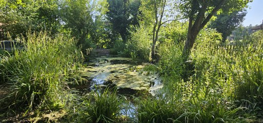 We visit 5 stunning gardens for a preview of Bedminster's Secret Gardens 2024