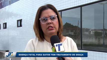 Doença fatal para gatos tem tratamento de graça