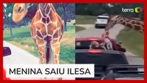 Criança é erguida por girafa durante safári nos Estados Unidos
