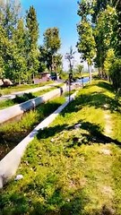 How much kashmir is beautiful ❤️ Nature. #nature