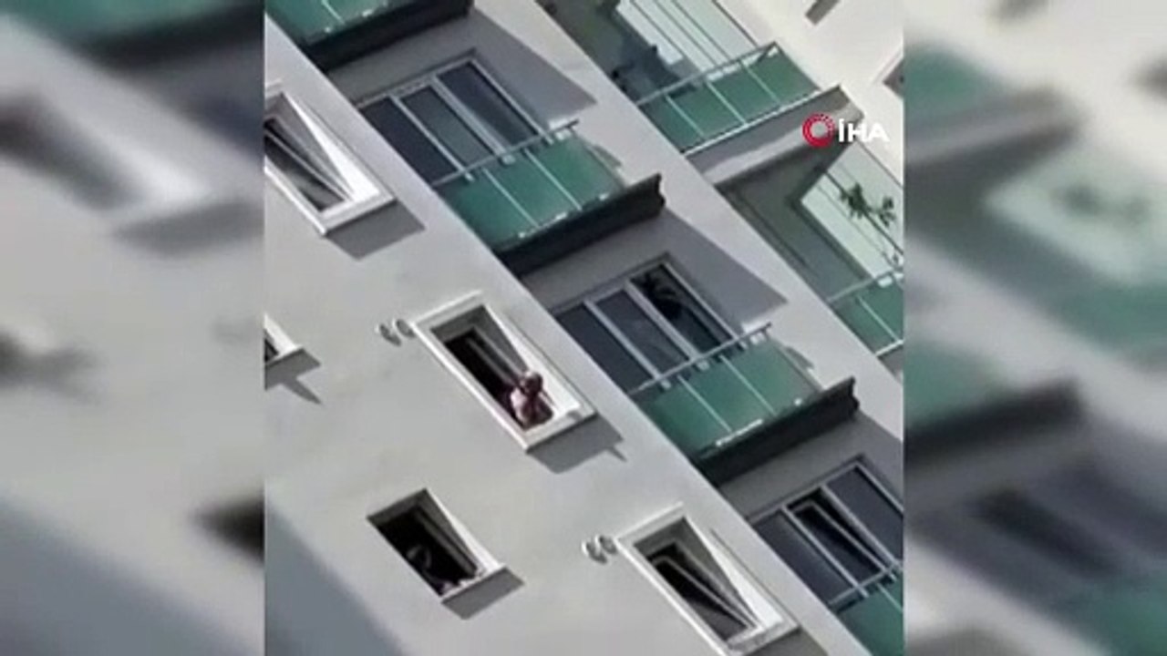 Polis cinnet geçirdi! Köpeğini vurup camdan aşağıya attı