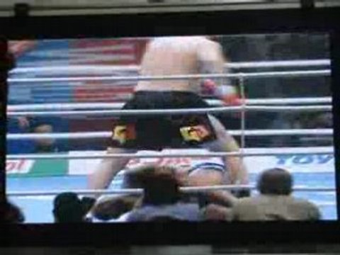 Semmy Schilt vs Mark Hunt