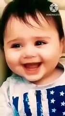 क्यूट तोता और बंदर #cute #funny #comedy #trendingshorts #youtubeshort