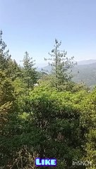 Rangla hans choki, beautiful place, another villages overview,noon bagla,chakar,komi kot,mera khurd,mashtba