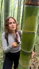 The GIRL's skills are AMAZING#camping #survival #bushcraft #outdoors #lifehack