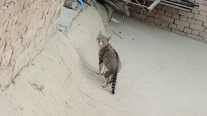 My First Vlog|| Simple sa larka viral ho gaya ❣️