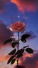 hazrat ali ka farman |love allah |save the world